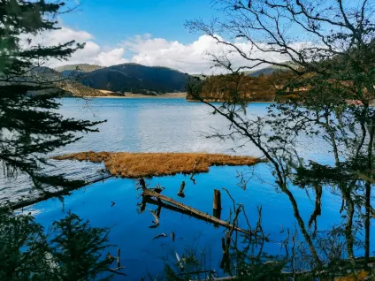 ΓουαγονΜπετ Καζίνο Κινητη εφαρμογη